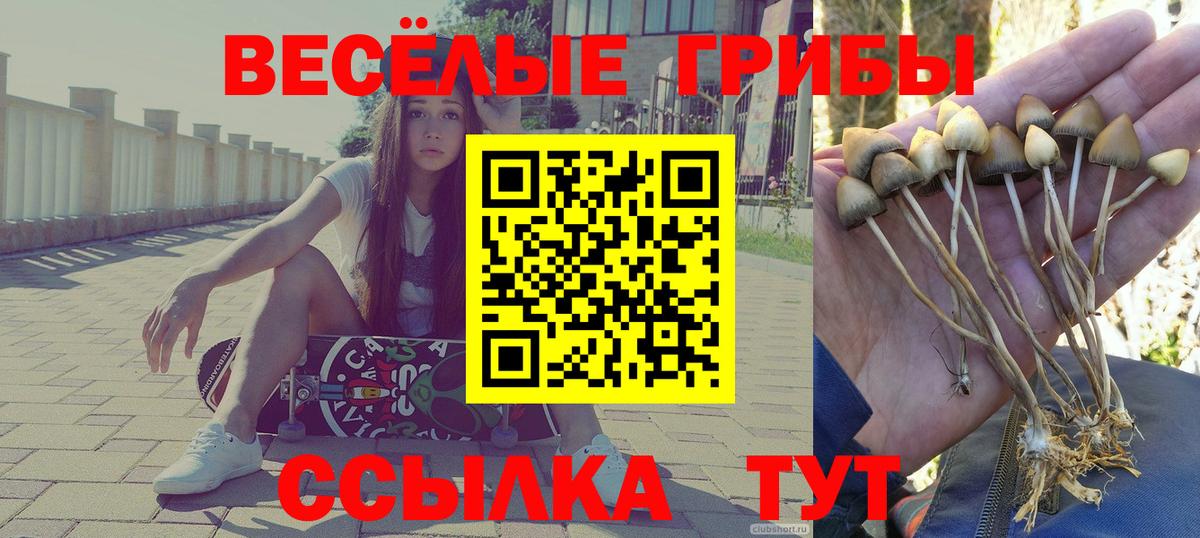 Галлюциногенные грибы Cubensis Кемерово